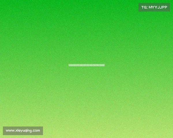 阿方索与伊藤洋辉已回归拜仁开启康复训练重返赛场计划